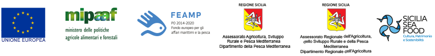 Banner FEAMP 2020_2