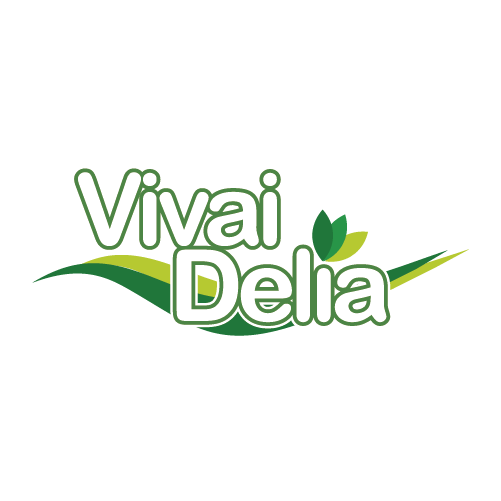 delia-8